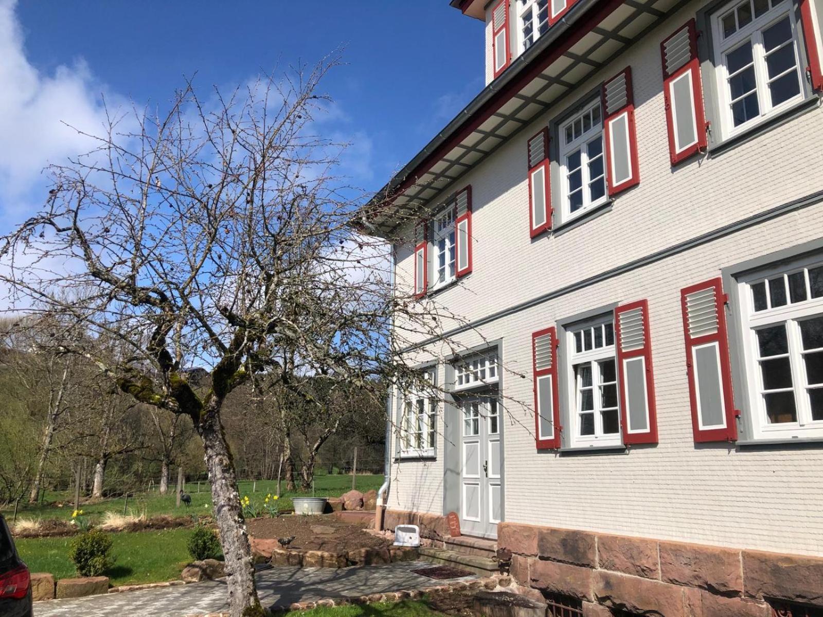 Ferienwohnung Am Stockerbach Фройденщат Екстериор снимка